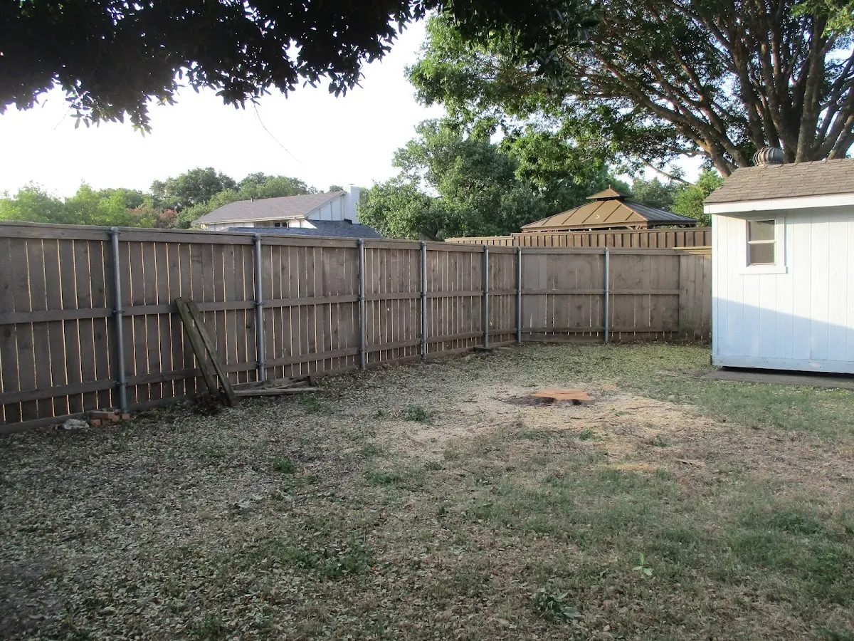 Cleared yard after professional tree removal in Smithville
