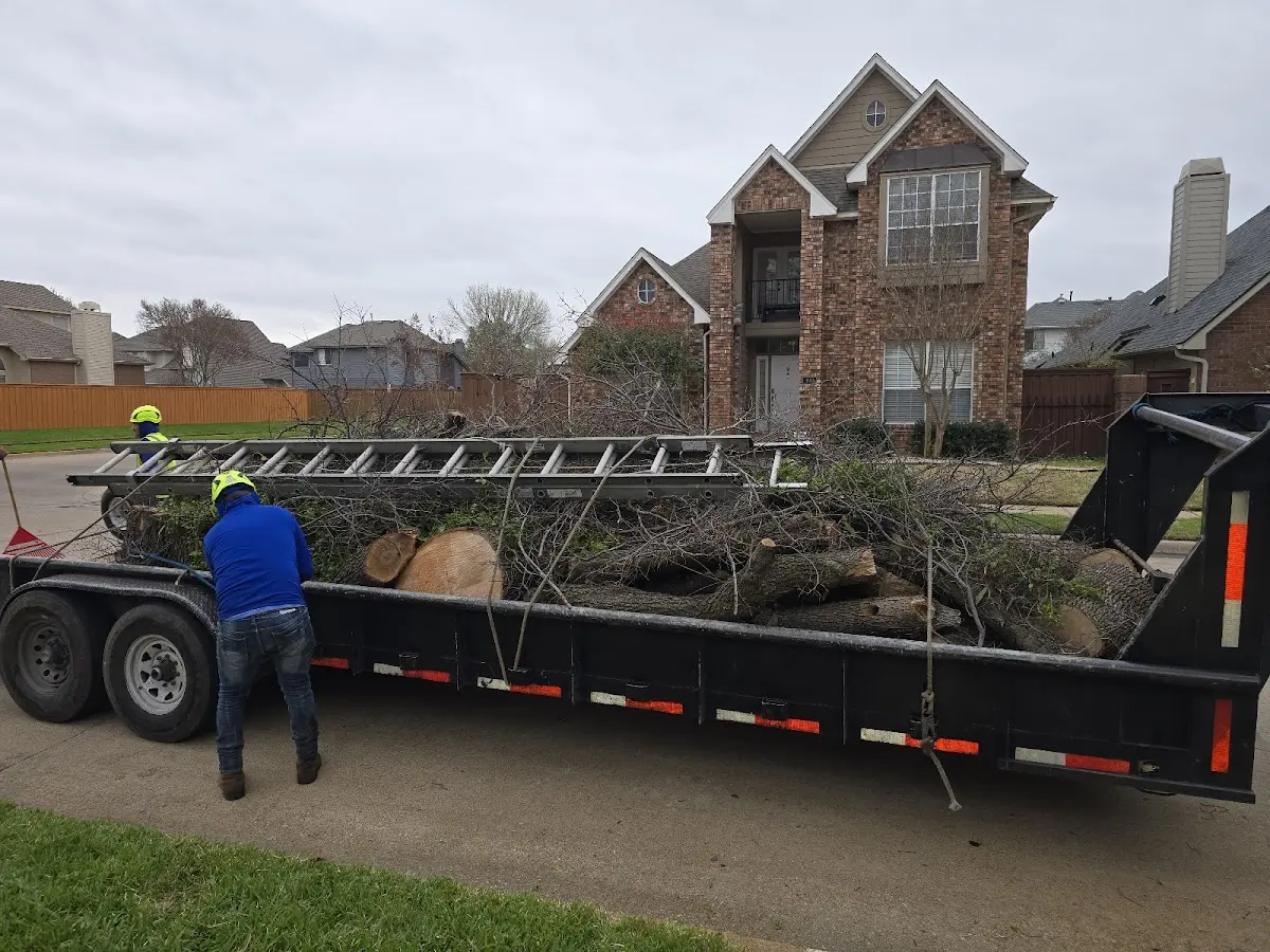 Expert Crown Reduction with proper safety equipment in Smithville